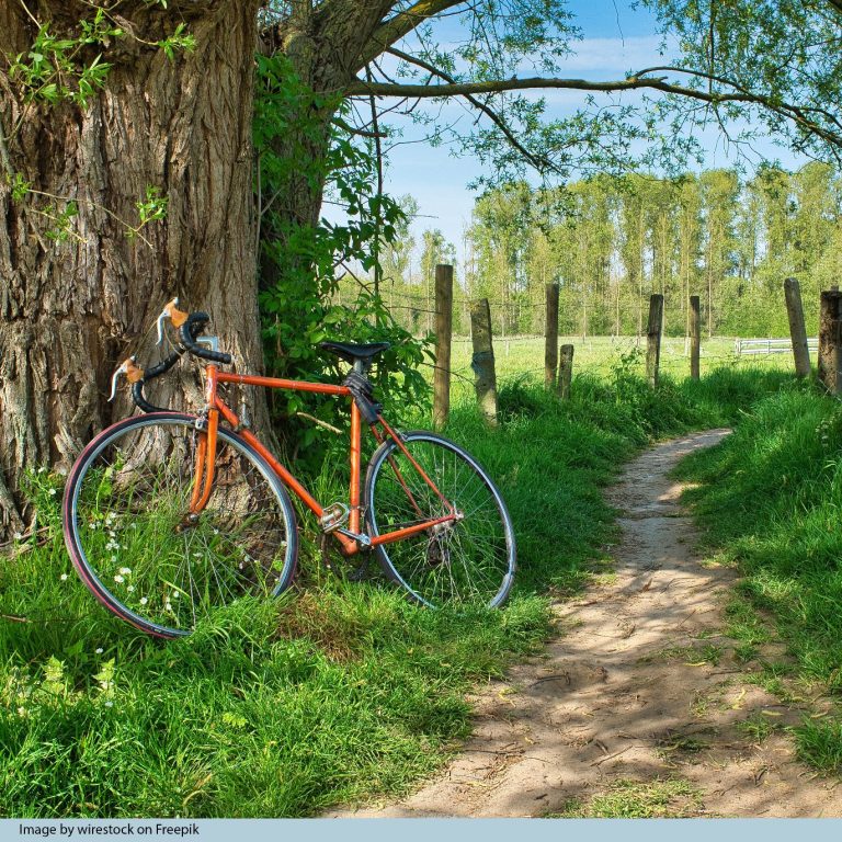 Radfahren in Grömitz